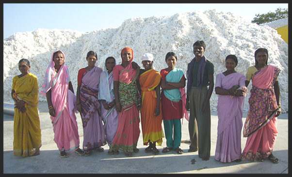 Cotton filed workers