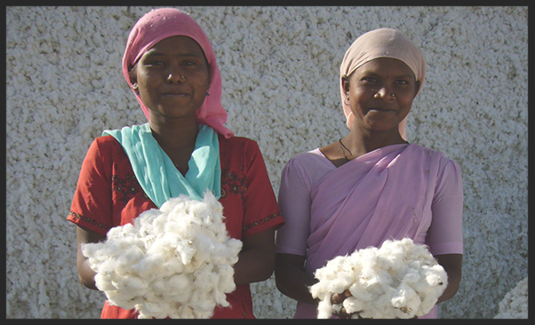 FairTrade Cotton